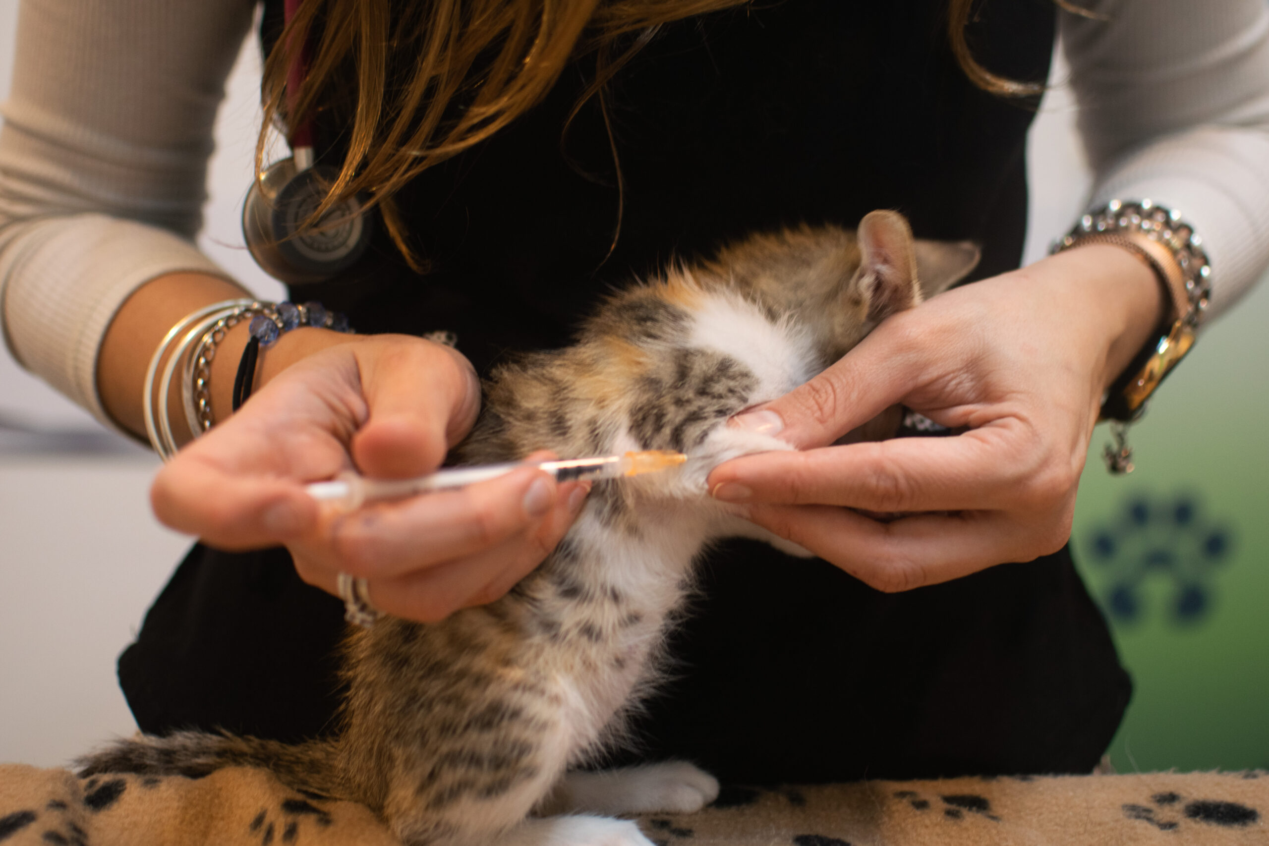 Consultorio Veterinario