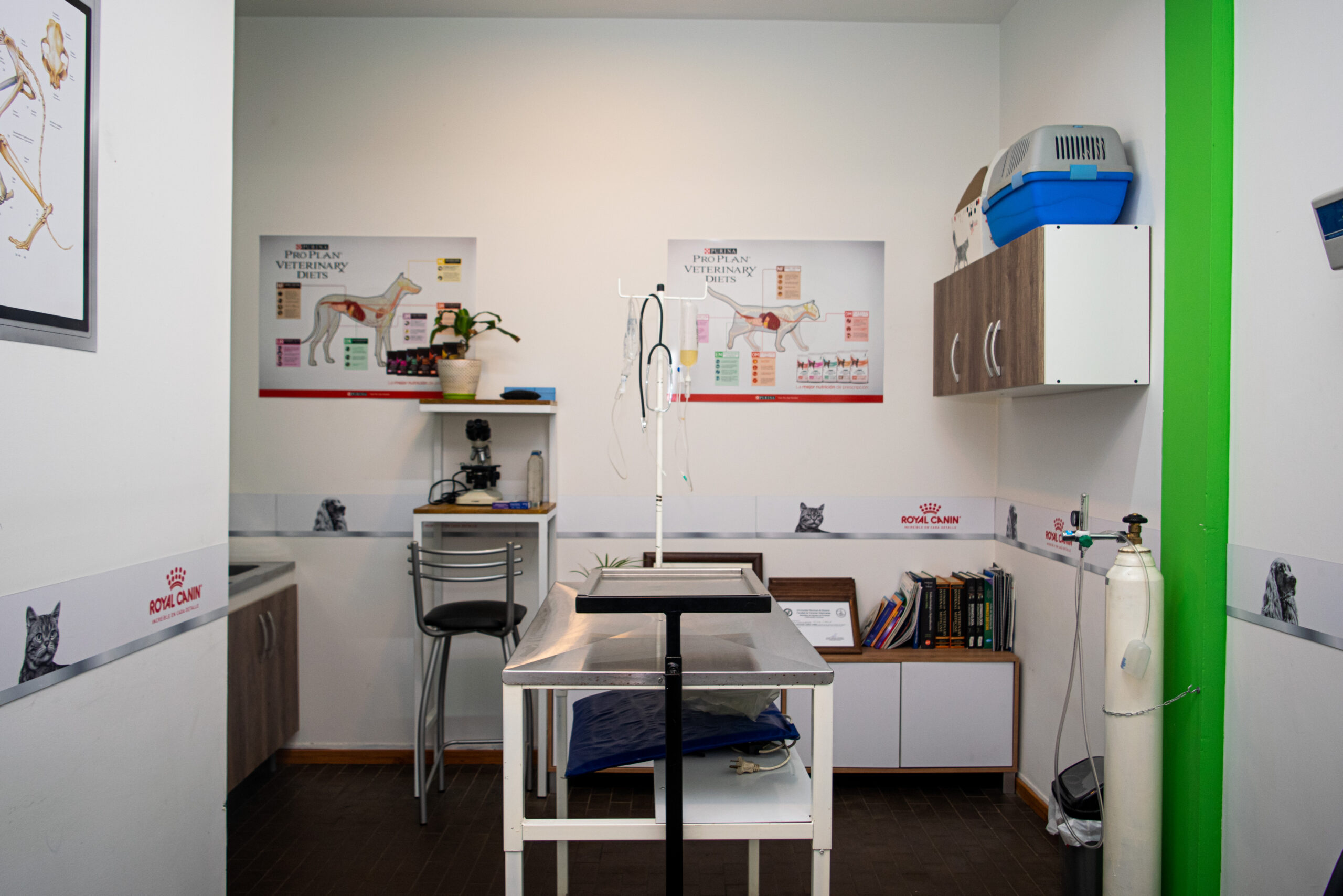 Consultorio Veterinario